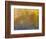 Soft Landscape XI-James McLoughlin-Framed Photographic Print