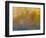 Soft Landscape XI-James McLoughlin-Framed Photographic Print