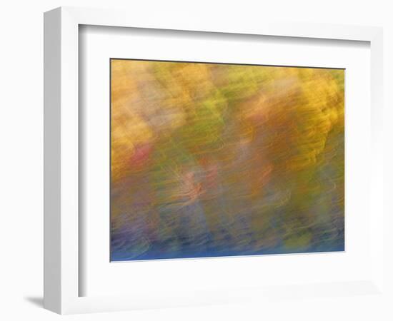 Soft Landscape XI-James McLoughlin-Framed Photographic Print