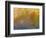 Soft Landscape XI-James McLoughlin-Framed Photographic Print