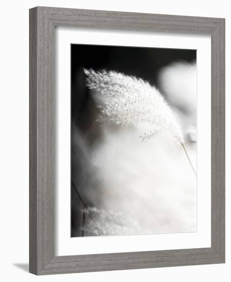 Soft Light - Drift-Chris Dunker-Framed Giclee Print