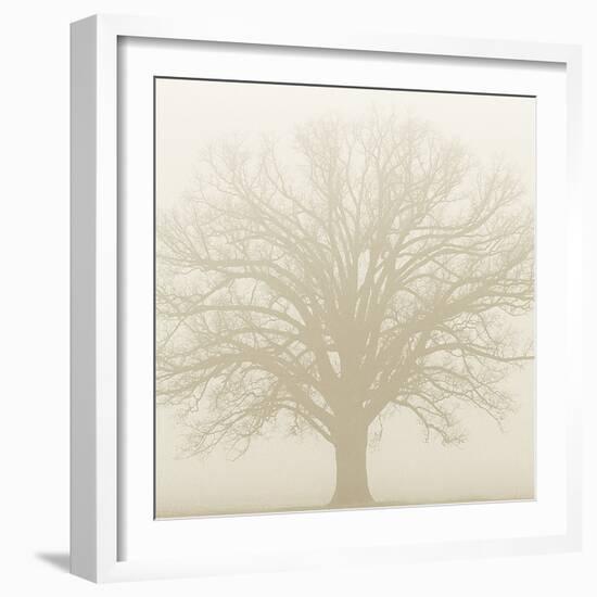 Soft Light I-Adam Brock-Framed Giclee Print