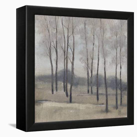 Soft Light II-Tim OToole-Framed Stretched Canvas