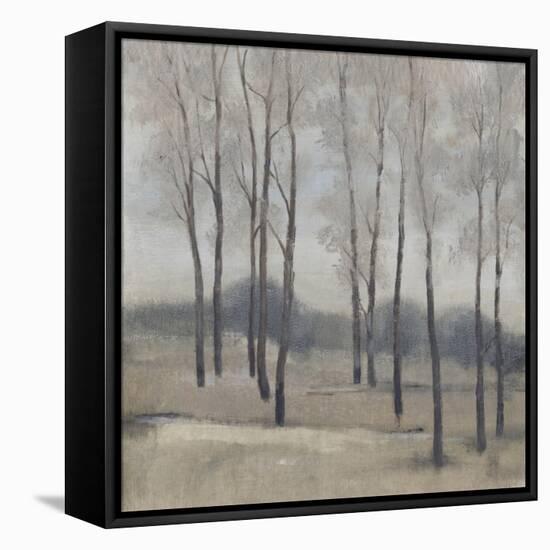 Soft Light II-Tim OToole-Framed Stretched Canvas