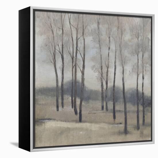 Soft Light II-Tim OToole-Framed Stretched Canvas