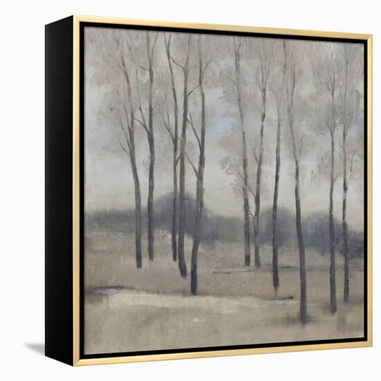 Soft Light II-Tim OToole-Framed Stretched Canvas