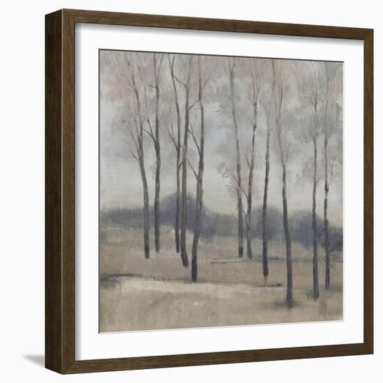 Soft Light II-Tim OToole-Framed Art Print