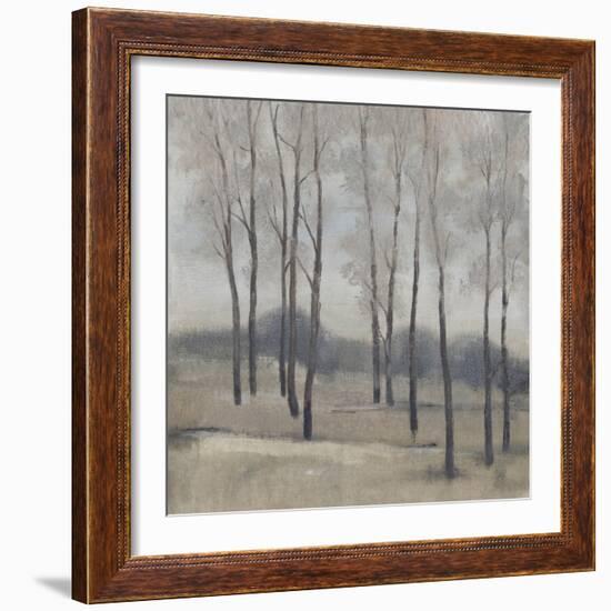 Soft Light II-Tim OToole-Framed Art Print