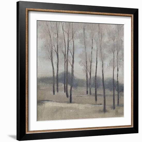 Soft Light II-Tim OToole-Framed Art Print