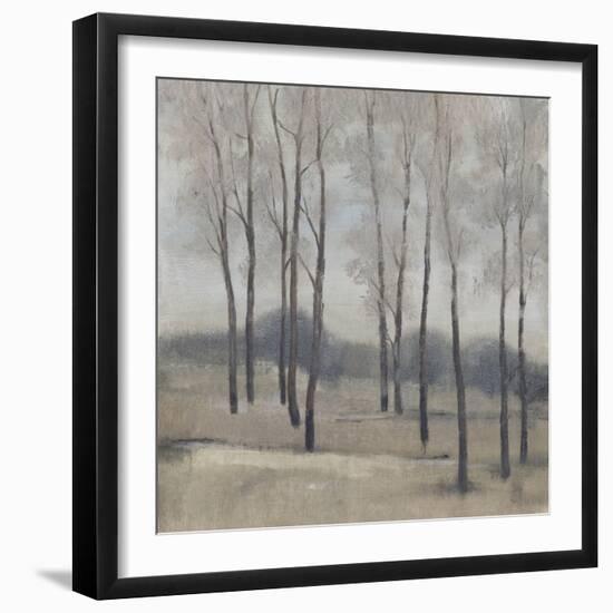 Soft Light II-Tim OToole-Framed Art Print