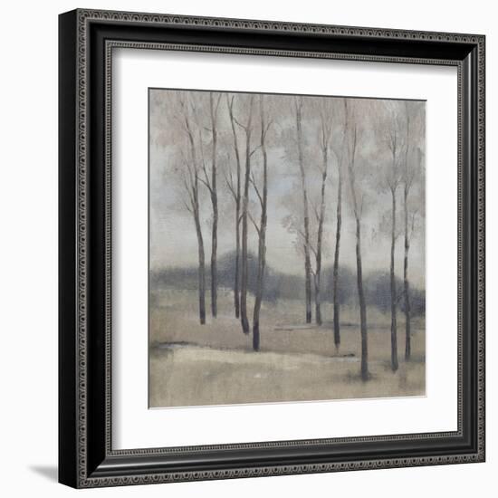 Soft Light II-Tim OToole-Framed Art Print