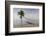 Soft Light Illuminates an Old Pier, Cuba-James White-Framed Photographic Print