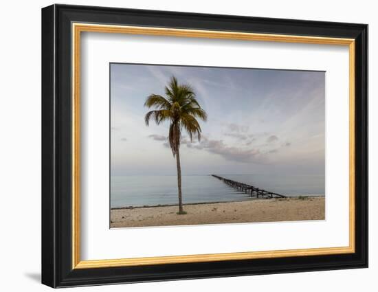 Soft Light Illuminates an Old Pier, Cuba-James White-Framed Photographic Print