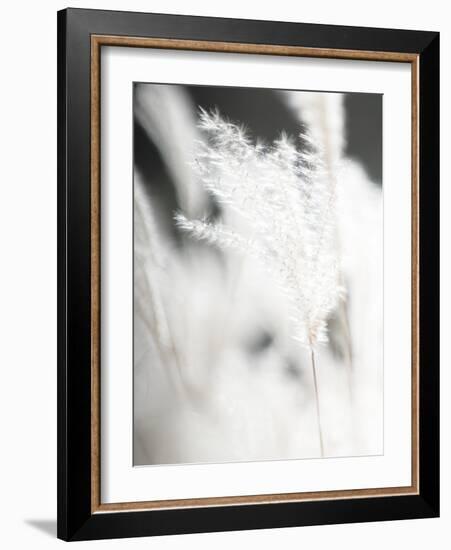 Soft Light - Wave-Chris Dunker-Framed Giclee Print