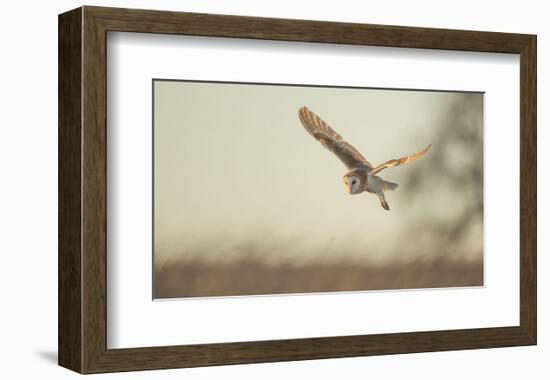 Soft Light-Mark Bridger-Framed Art Print