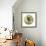 Soft Light-Joh Naito-Framed Giclee Print displayed on a wall