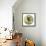 Soft Light-Joh Naito-Framed Premier Image Canvas displayed on a wall