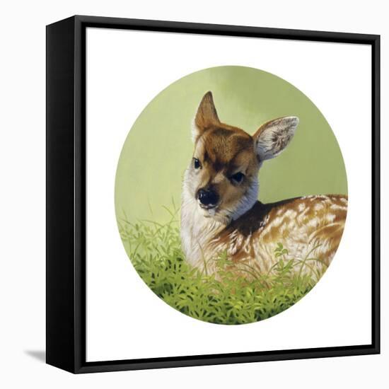 Soft Light-Joh Naito-Framed Premier Image Canvas