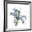 Soft Lily-Albert Koetsier-Framed Premium Giclee Print