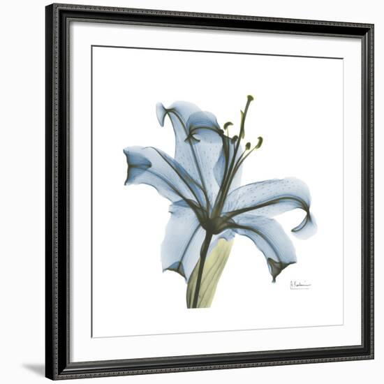 Soft Lily-Albert Koetsier-Framed Premium Giclee Print