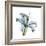 Soft Lily-Albert Koetsier-Framed Premium Giclee Print