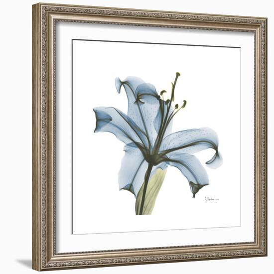 Soft Lily-Albert Koetsier-Framed Premium Giclee Print
