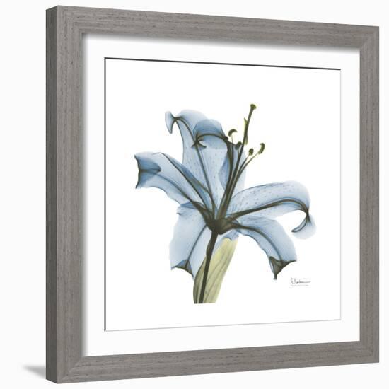 Soft Lily-Albert Koetsier-Framed Premium Giclee Print