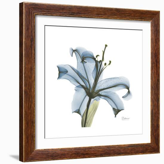 Soft Lily-Albert Koetsier-Framed Premium Giclee Print