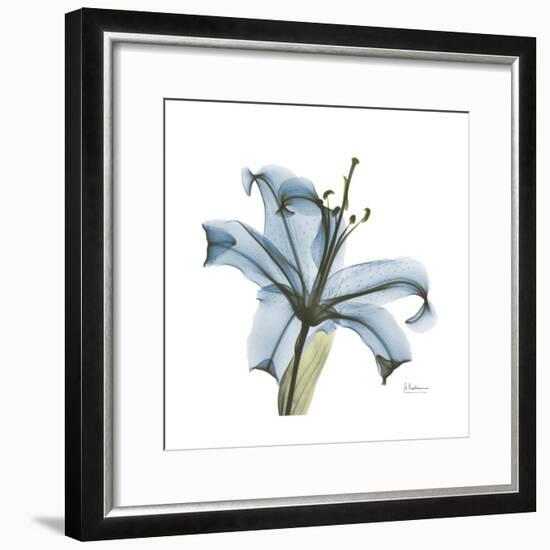 Soft Lily-Albert Koetsier-Framed Premium Giclee Print