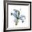 Soft Lily-Albert Koetsier-Framed Premium Giclee Print