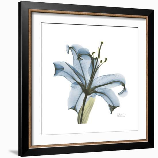 Soft Lily-Albert Koetsier-Framed Premium Giclee Print