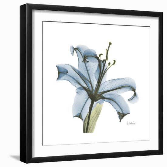 Soft Lily-Albert Koetsier-Framed Premium Giclee Print