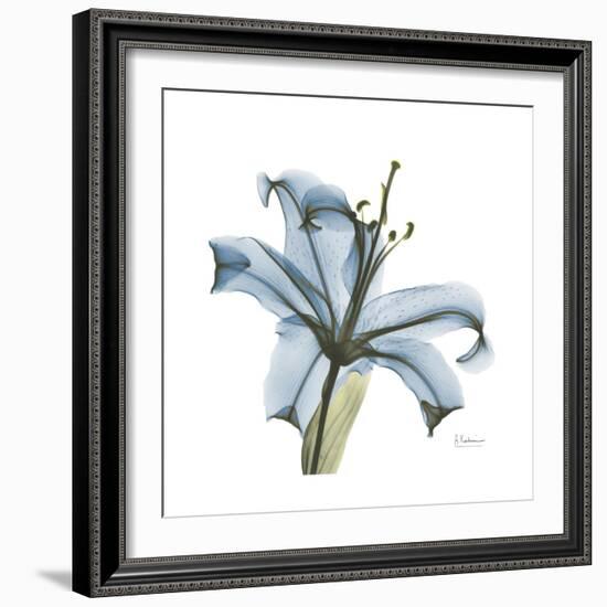 Soft Lily-Albert Koetsier-Framed Premium Giclee Print