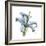 Soft Lily-Albert Koetsier-Framed Premium Giclee Print