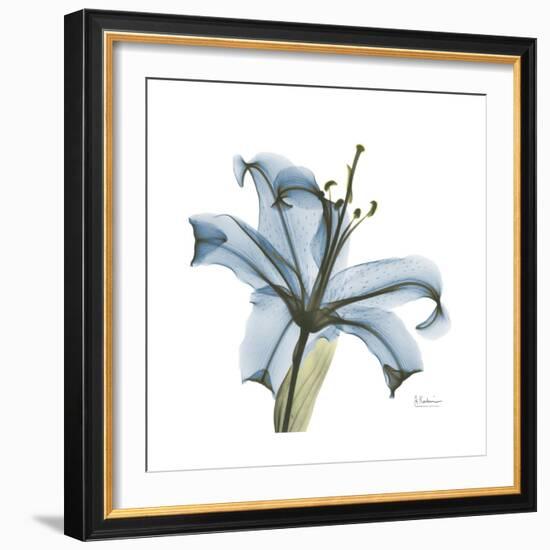 Soft Lily-Albert Koetsier-Framed Art Print