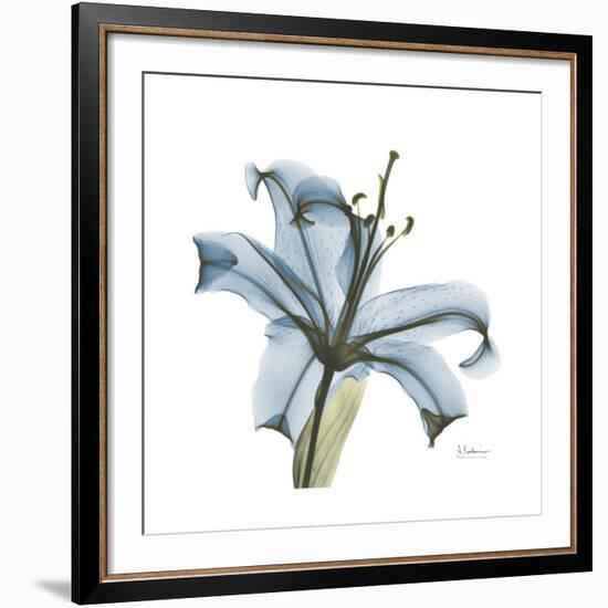 Soft Lily-Albert Koetsier-Framed Art Print