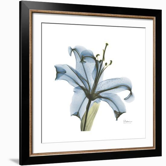 Soft Lily-Albert Koetsier-Framed Art Print