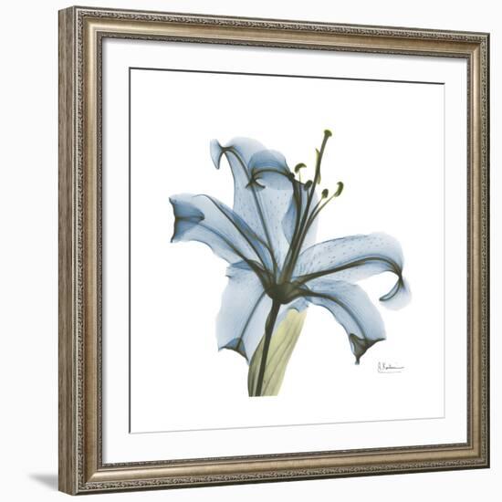 Soft Lily-Albert Koetsier-Framed Art Print