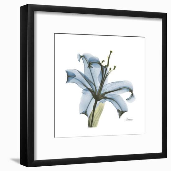 Soft Lily-Albert Koetsier-Framed Art Print