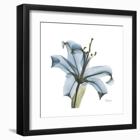 Soft Lily-Albert Koetsier-Framed Art Print