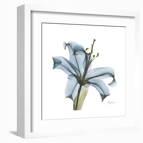 Soft Lily-Albert Koetsier-Framed Art Print