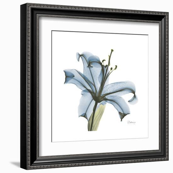 Soft Lily-Albert Koetsier-Framed Art Print