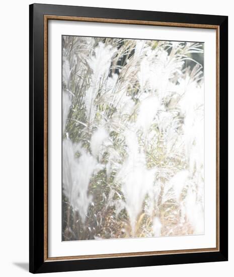 Soft Nature-Chris Dunker-Framed Giclee Print