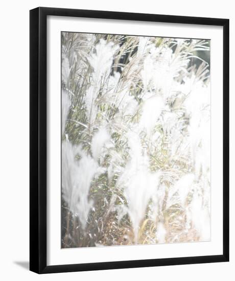 Soft Nature-Chris Dunker-Framed Giclee Print