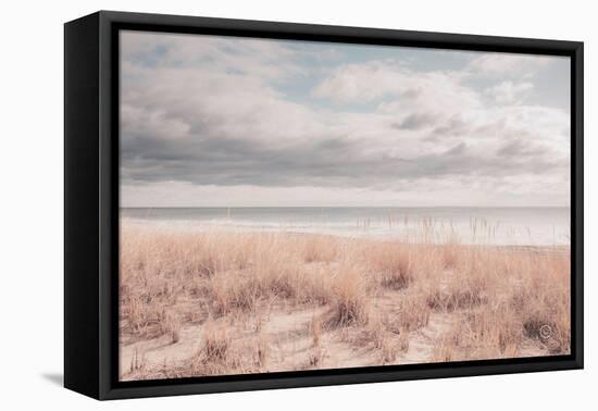 Soft Oceans-Nathan Larson-Framed Premier Image Canvas