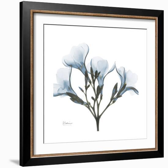 Soft Oleander-Albert Koetsier-Framed Premium Giclee Print