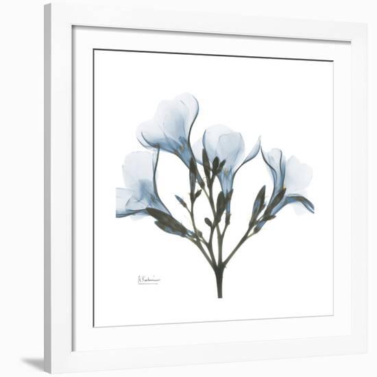 Soft Oleander-Albert Koetsier-Framed Giclee Print