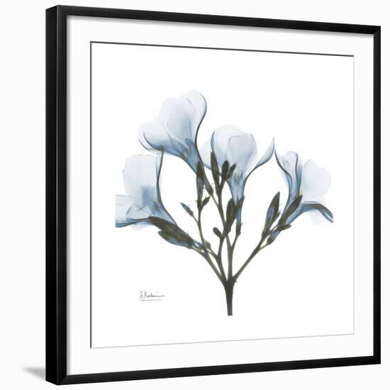 Soft Oleander-Albert Koetsier-Framed Giclee Print