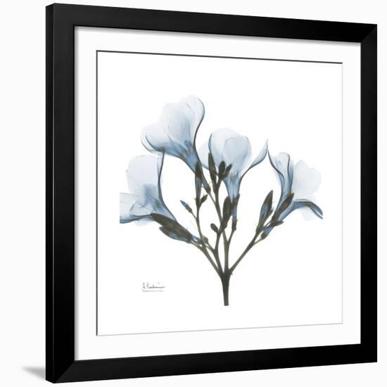 Soft Oleander-Albert Koetsier-Framed Giclee Print