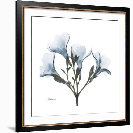 Soft Oleander-Albert Koetsier-Framed Giclee Print